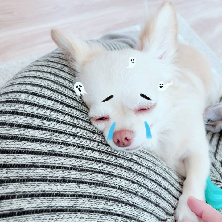 Ce0c3b53 453f 47e7 8c87 92d64cb8d04f 1693996298702