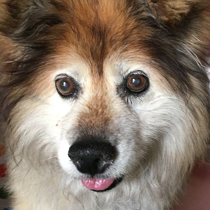 Ce0c9dc0 5b49 4c6f aedc ee428500963b 1589862908053