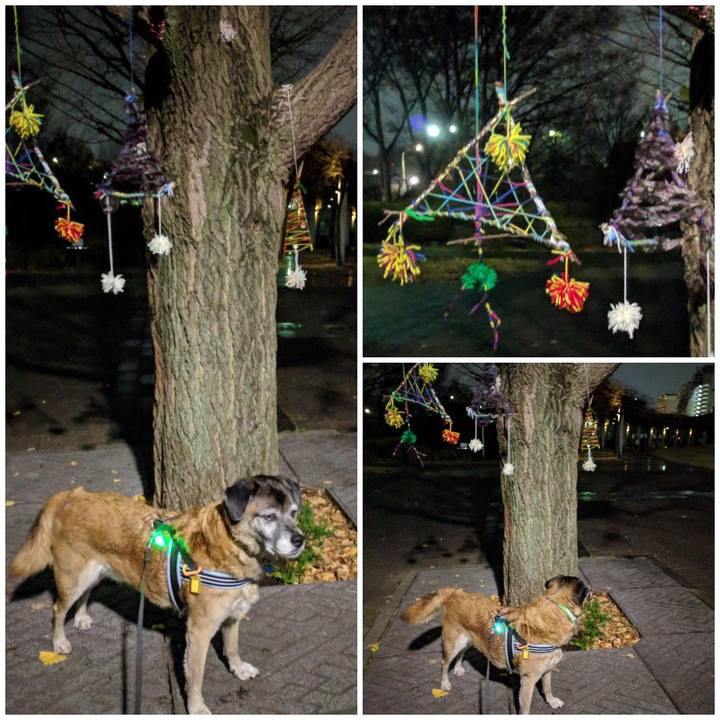 Ce0cc806 1fe0 429a b6d9 6bd17f51d285 1545476159657