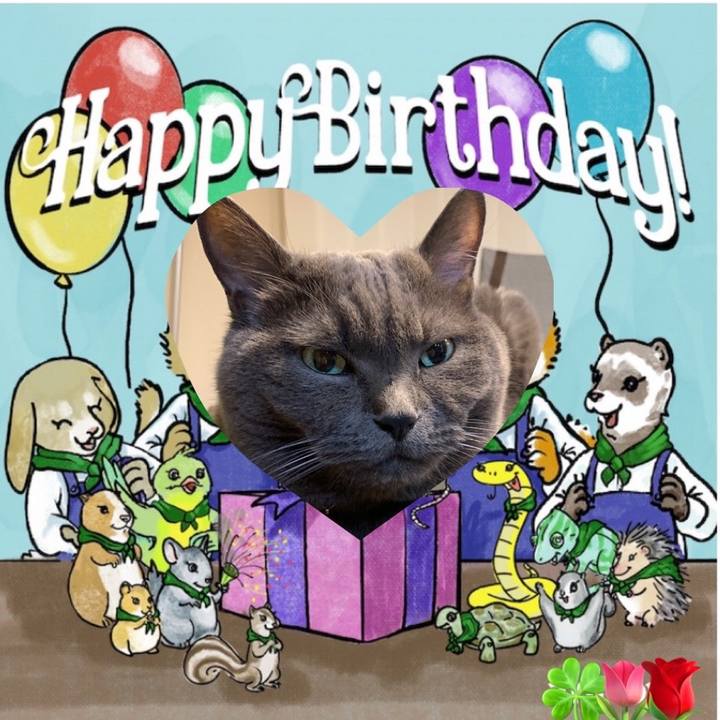 Ce0cdca6 0e87 4e07 9456 d8e743af6c1b 1709427507745