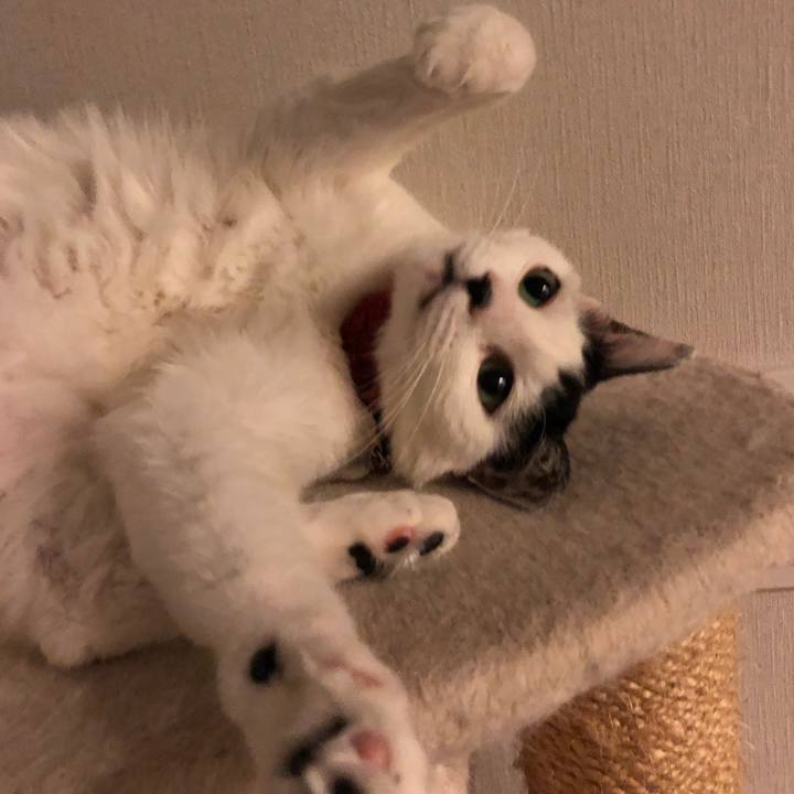 Ce0daba8 5e6f 4d0b 9906 0155c9ff3f7a 1528903025809