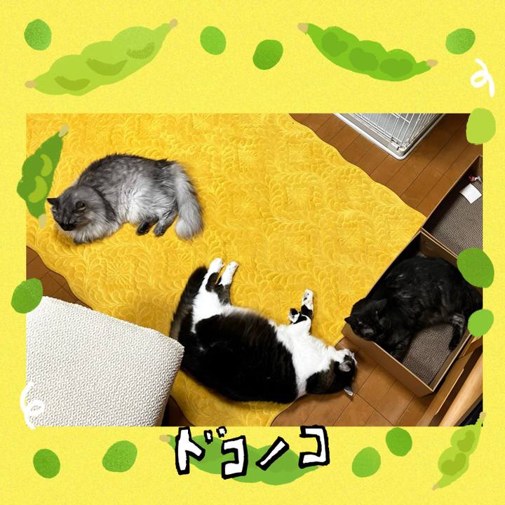 Ce0dbac7 5c13 4c41 8c5d 14a99ed7d6fe 1720876703459