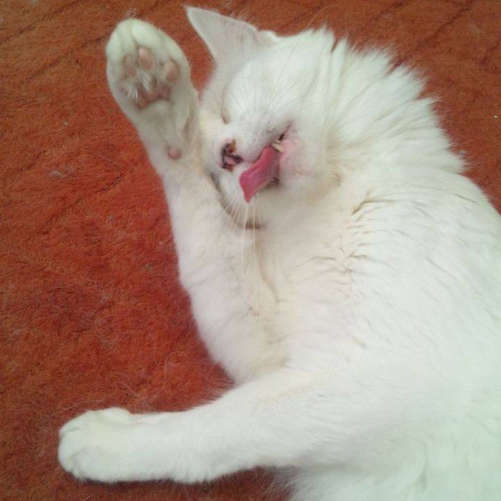 Ce0dfb0c d367 464e 93a6 41cffa349315 1686872748203