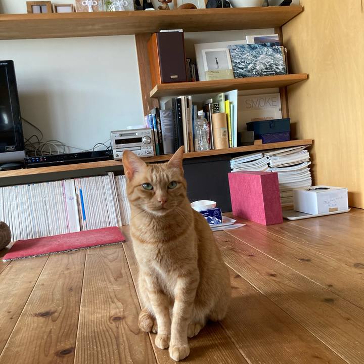 Ce0dfd4e 55a7 4d4e a164 9ca21c428e8c 1652313740225