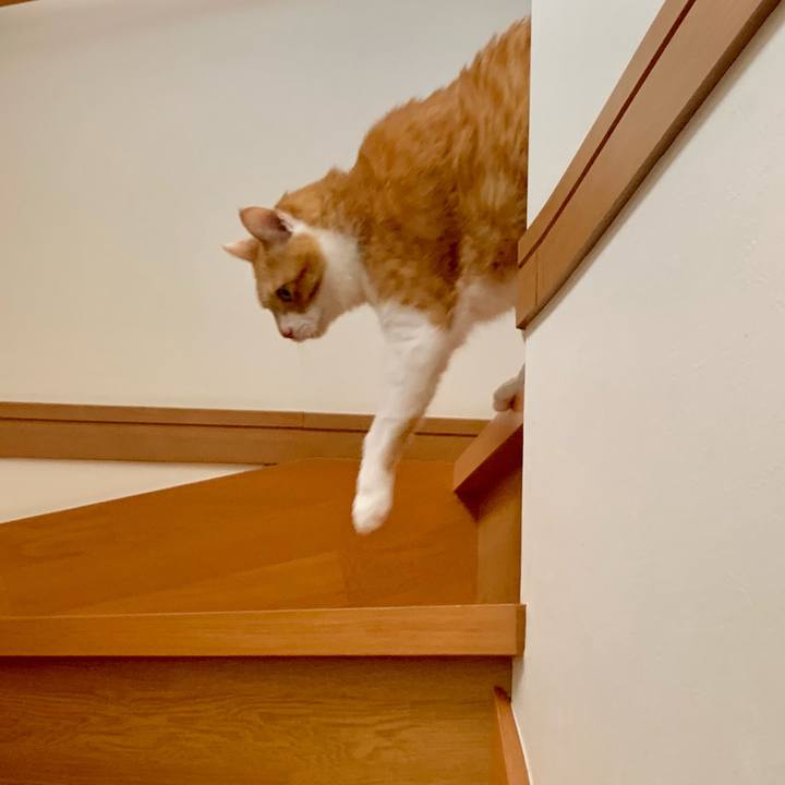 Ce0e2e6d 65d2 4389 8c1b f654698c985b 1682414386414