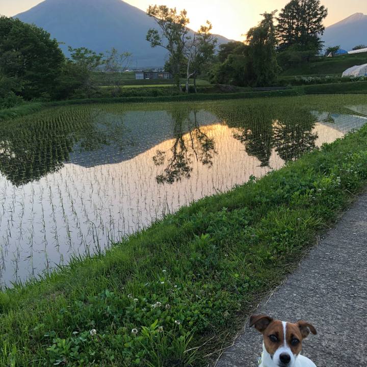 Ce0e45c5 fc39 4742 80e9 b00855c9c4e7 1527157532412