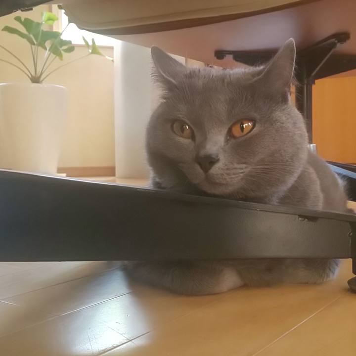 Ce0e7090 2e54 47ba afbb cda23c525f8f 1591855710721