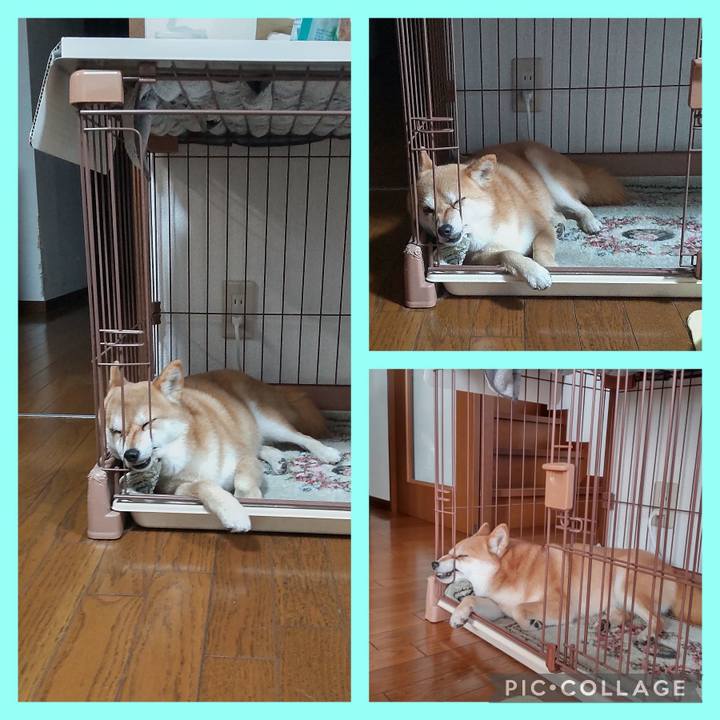 Ce0e8beb 85ce 4492 9be8 1f7ba162fffa 1743154746819