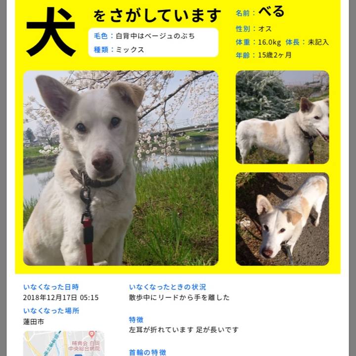 Ce0e9964 034d 437b aee3 8b1b9434a36d 1548470648445