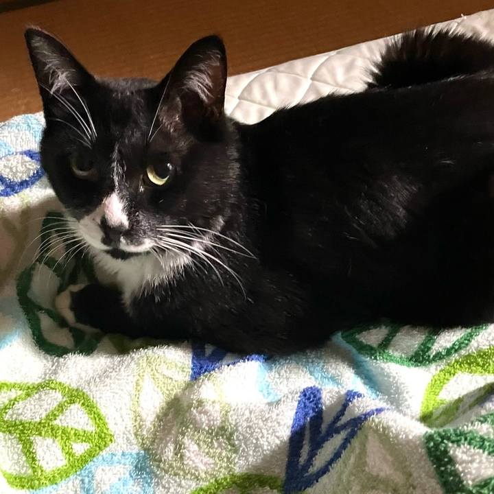 Ce0ea885 e0b1 438a 86ac 9cd37549df3c 1724728683470