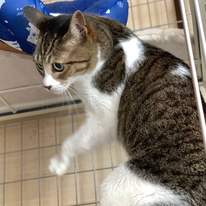 Ce0f4baf ff74 4852 885f acdcd5460413 1591662546340