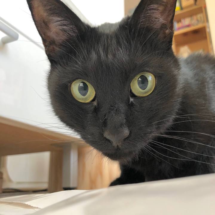 Ce0f646d 5fc4 4ccf a070 fd2e458fdf8d 1552090533952