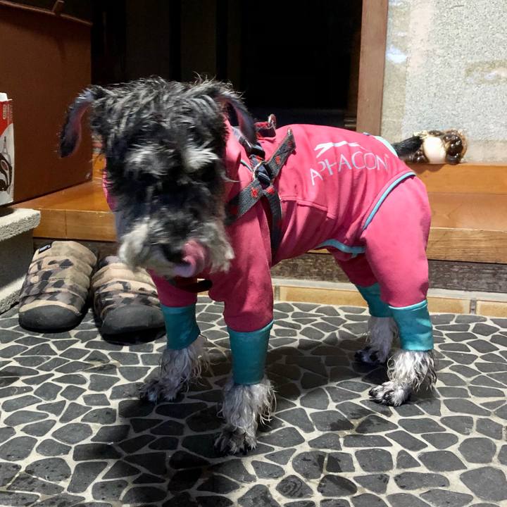 Ce0f7551 1f27 49fc 8a96 06f392311872 1688177577862