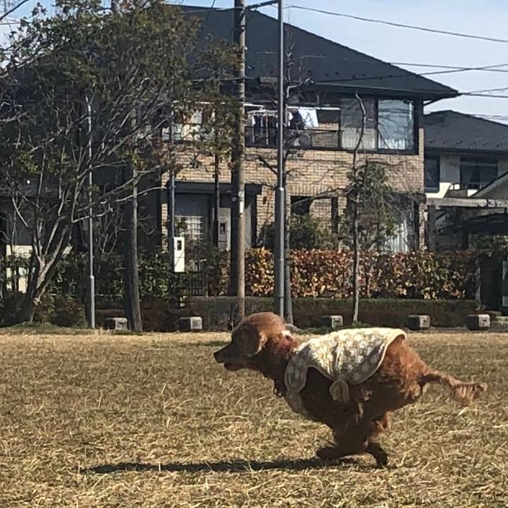 Ce0fb289 4598 4c59 98b4 ae9efe4e324f 1584715398120