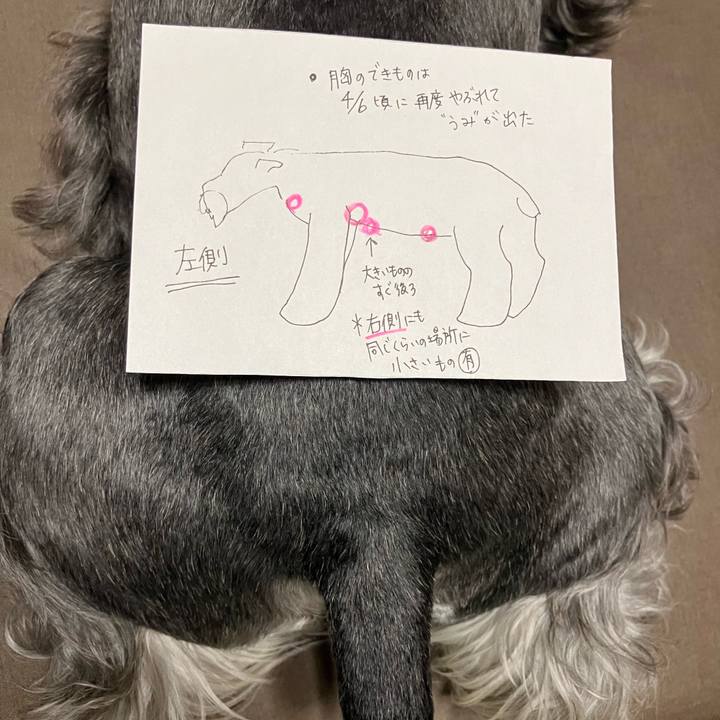 Ce0ffad0 4bdf 4c2c 862e 7885b76a8bd4 1713362867717