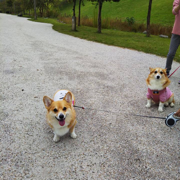 Ce1004ff e066 47b0 9e75 2e3a0ec7db1c 1569679722783