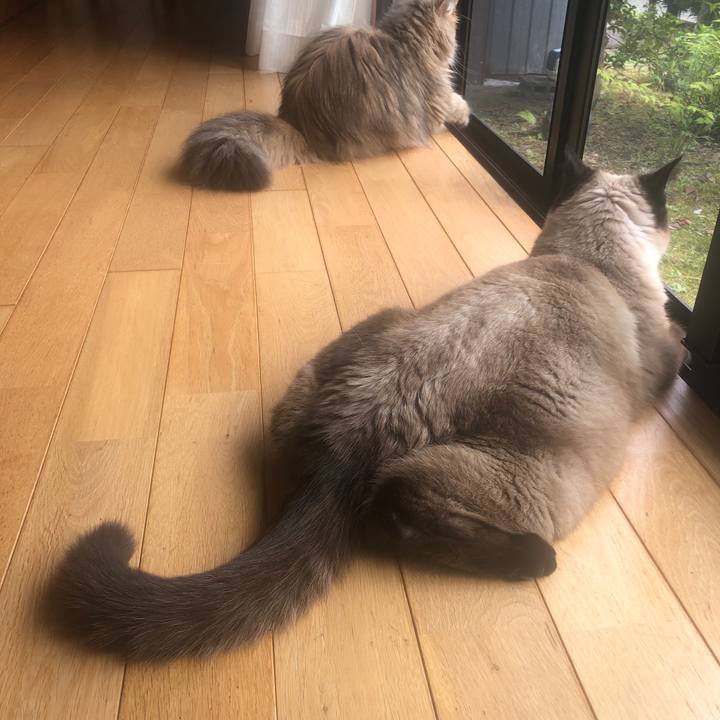 Ce103aef 041b 4fb7 a802 286293dc1812 1624580227529