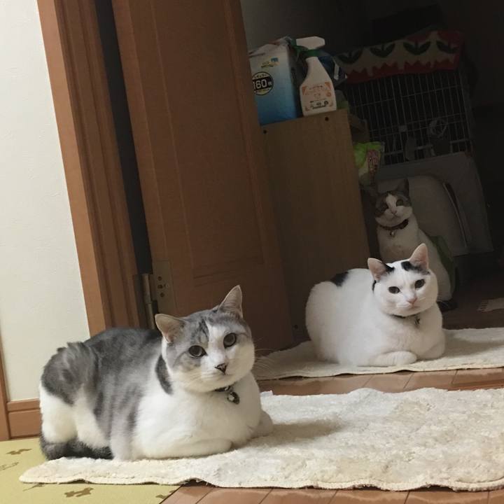 Ce104ec1 e274 46a8 96af 8ad8f4ea8548 1512141835605