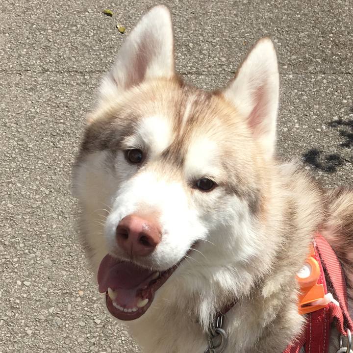 Ce1066cf 3696 42d8 95c4 f27ab1511ffa 1554162918415