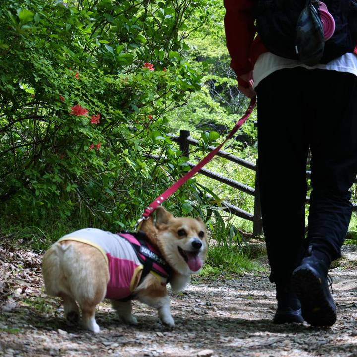 Ce10a37e 1cef 4620 8c19 601909331ed5 1620136624738