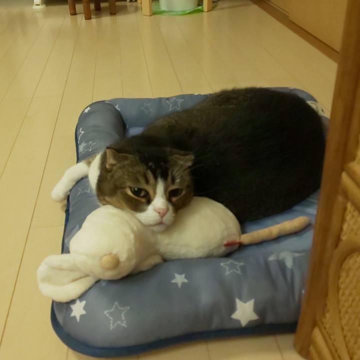 Ce10d96f c2d3 43a5 a6ff 02dfb2a67035 1592130690654