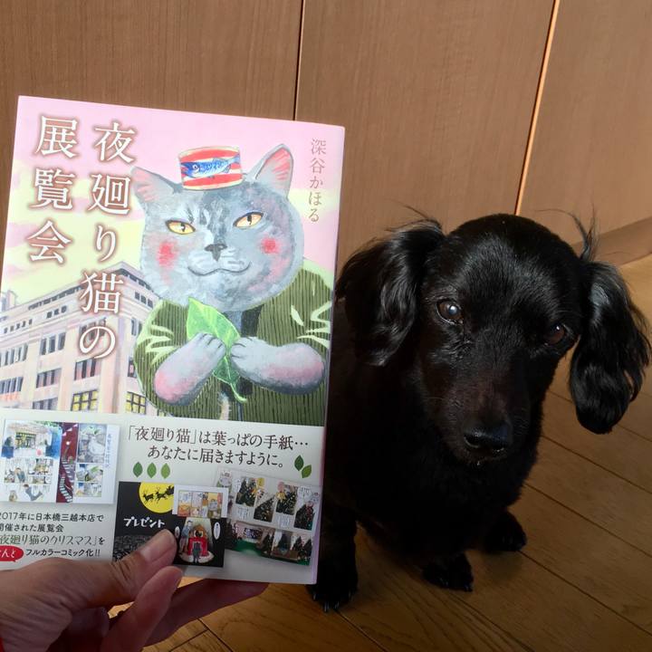 Ce10fd8a d984 4856 a7d1 096d64119025 1543622602791