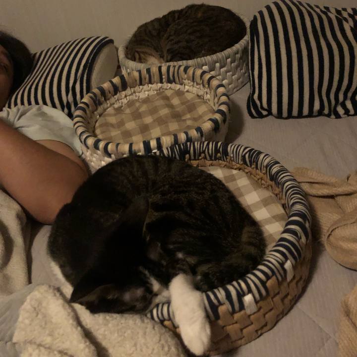 Ce112836 2365 4560 bf49 0c1617845eb2 1599493575676