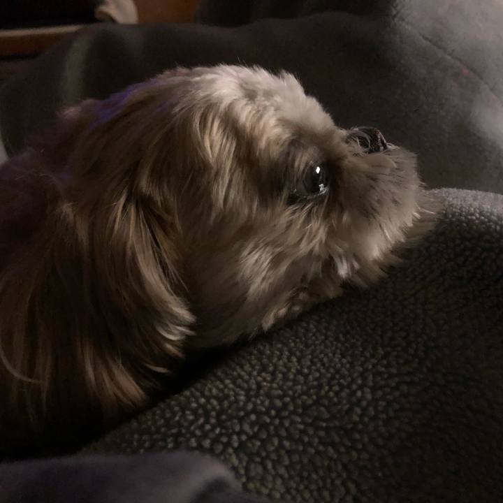 Ce112f2b 88d7 467a 98b5 2bec450d33e2 1611612238529