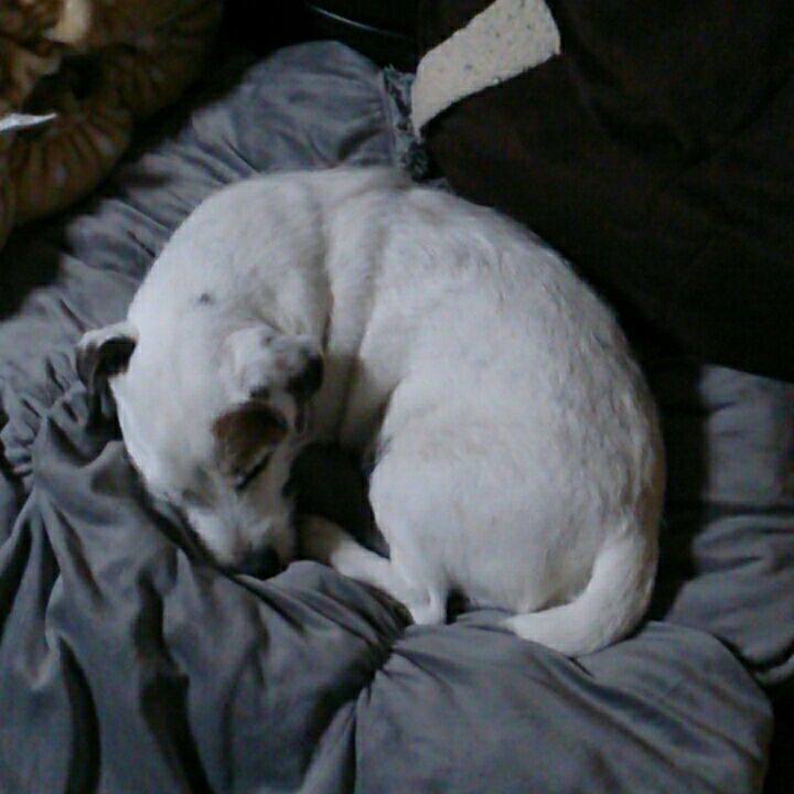 Ce114e33 ea83 4094 9bc9 c657601c6d03 1511220766585