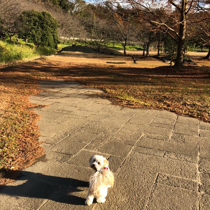 Ce115f55 6dc1 43ad a8e8 82c570e31c28 1513071502842