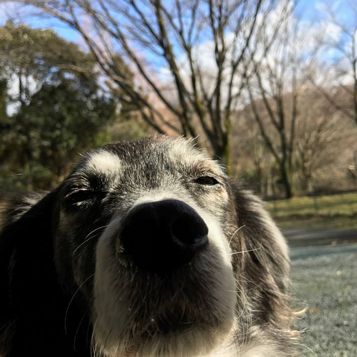 Ce119b2d 87df 4bee b410 e15378bc583f 1520660539611