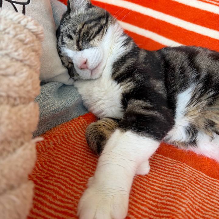 Ce119d4a 3b0e 48a6 986c f056968d1647 1772329269549