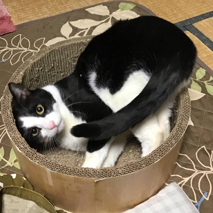 Ce11b387 4dcf 41ff a08d 25bd78dd9afe 1734686043063