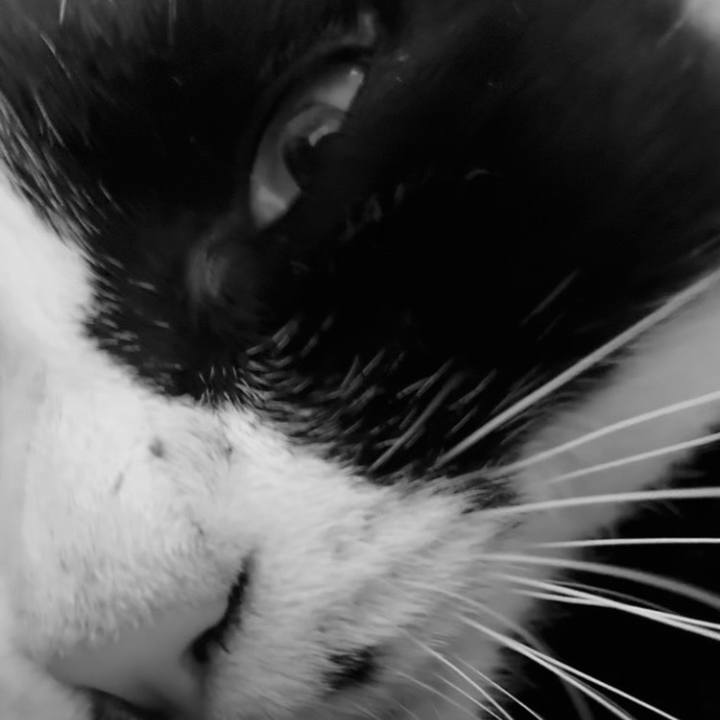 Ce11cc64 ea9e 437c a301 715097876501 1760597287644