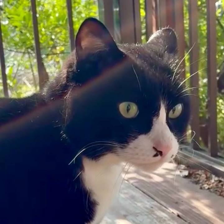 Ce11ccc3 c355 45aa ab5a 49c459b28f46 1773630189713