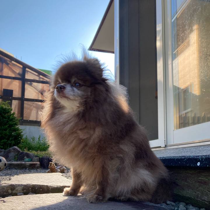 Ce11cec7 ce5e 4cef 911f fbe8cb465ad0 1688688217850