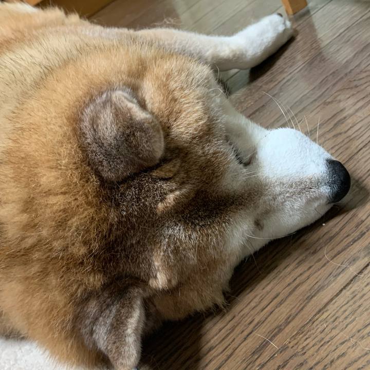 Ce11d6ed 63fb 4011 9707 72872e7baeec 1610269190926