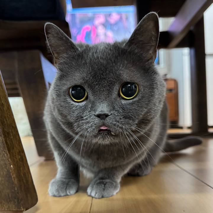 Ce11dfca 7eed 4125 b1bd ca7c1a6a8dc1 1777169358330