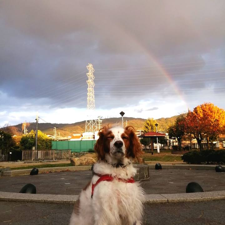 Ce11e165 d686 48ad b8eb 5f7f92dc551e 1575458705487