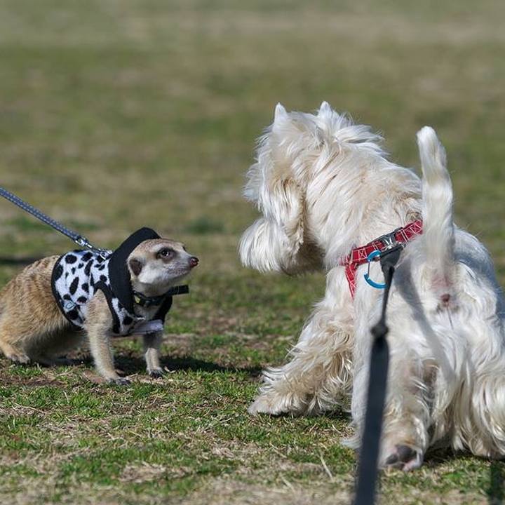 Ce120d2c ef91 4254 b03c 1d4cdf617800 1519995821645