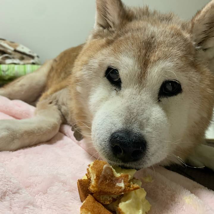 Ce12180f f907 48c1 8611 308268cfb77d 1689692659454