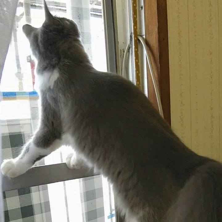 Ce12216c 5c23 4c6a a796 94dbe6b87a39 1572045443032