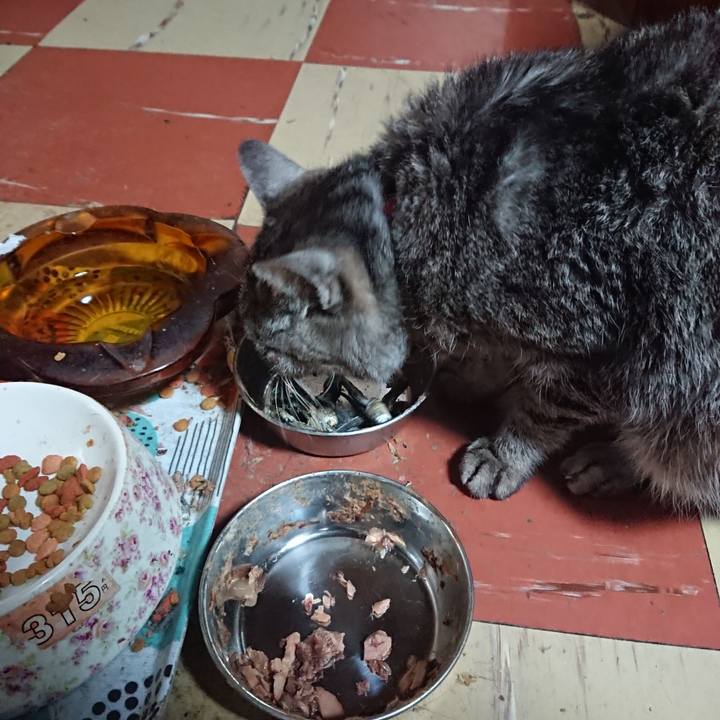 Ce122fcb 9240 4efb b880 1fdb0ba7160f 1584049170522