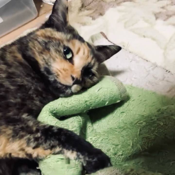 Ce124f20 6fd7 4a22 8dec c9728945fc25 1737451996112