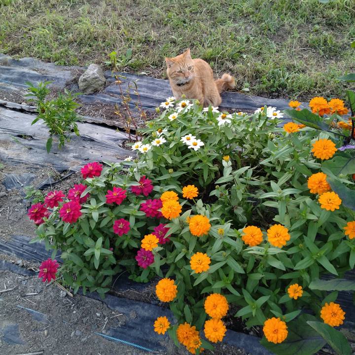 Ce1256cc 24c7 4767 b24f 11be623e388c 1663574281631