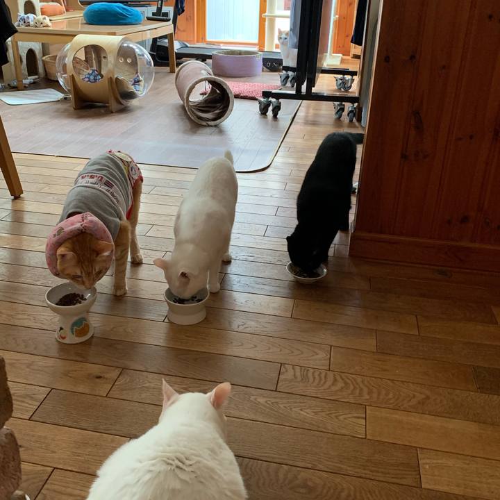 Ce126e46 5510 4d7c bb29 933cbc84c952 1631335964766