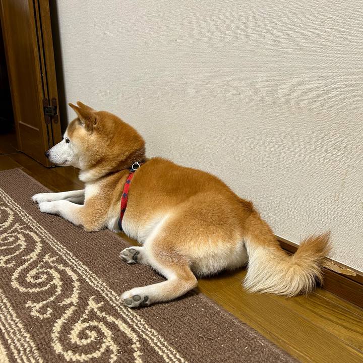 Ce126f99 b09e 4ddf 8fbf bfc995e6ba36 1724240348606