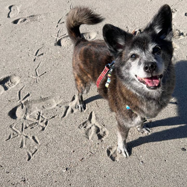 Ce1270d6 4cad 4b20 8809 8cfe86836232 1770350880410