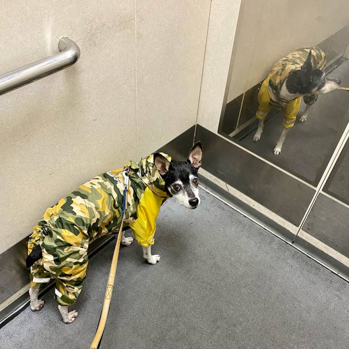 Ce129386 a1b6 47ee 82dc b3f4b5fe2407 1616315639588