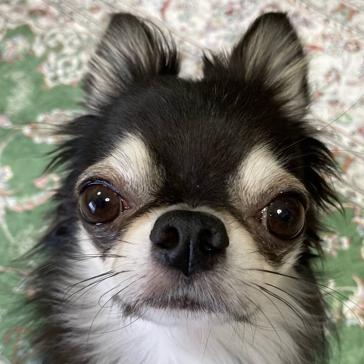 Ce12bd75 3615 43cb ab93 97315c20bbc9 1665268562414